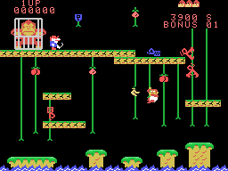 Donkey Kong, Jr. Screenshot