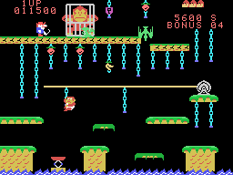 Donkey Kong, Jr. Screenshot