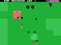 Ninja Princess Screenshot